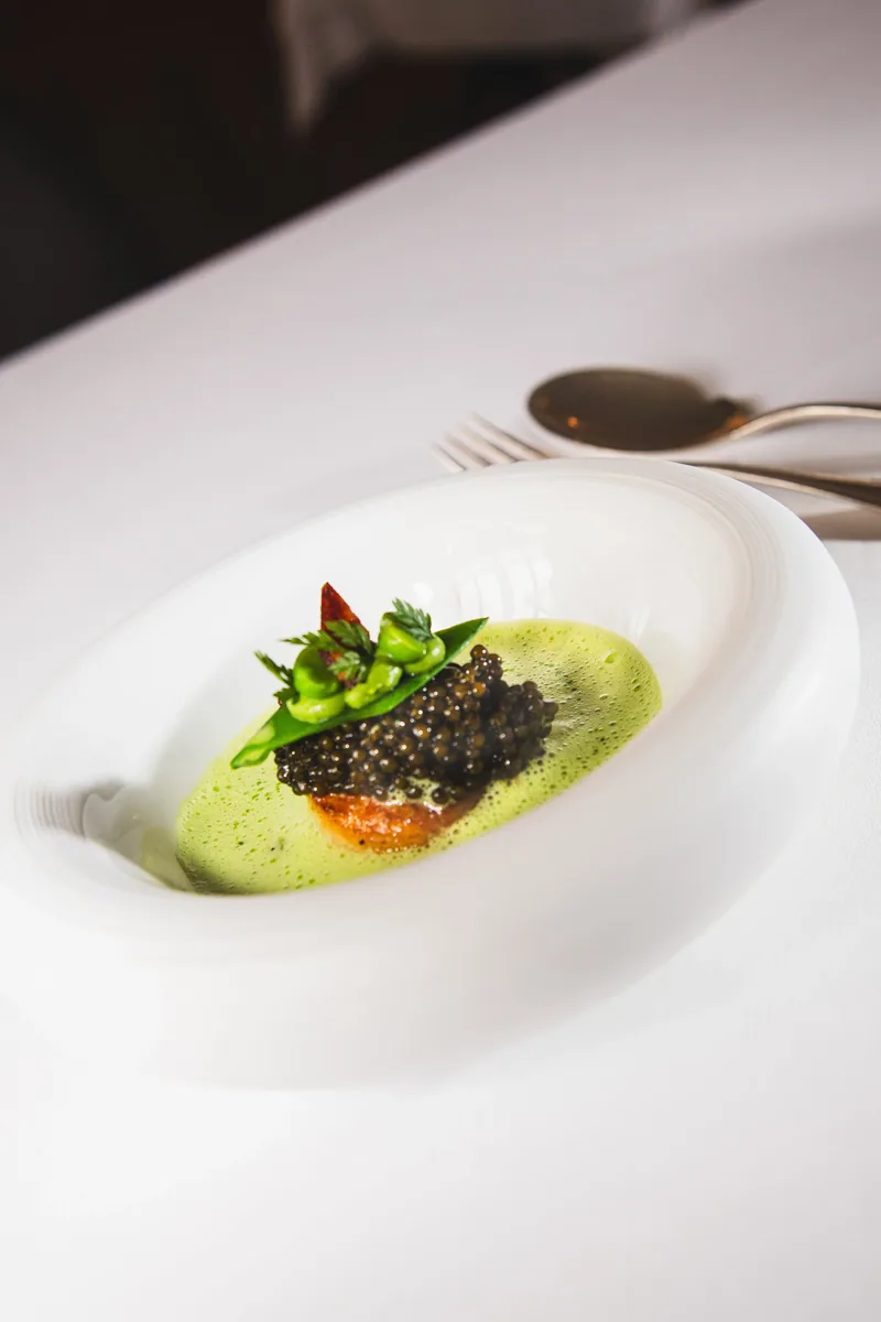 Kaviar auf grüner Sauce in einem tiefen Teller