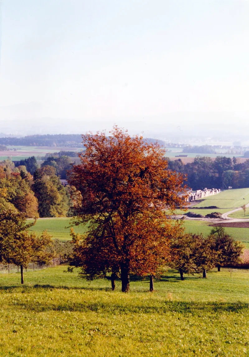 Herbst im Thurgau, Blick von Illhart ins Thurtal