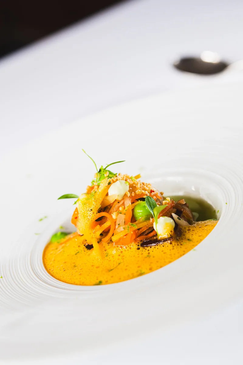 Ein Gericht auf orangefarbener Sauce mit Kräutern