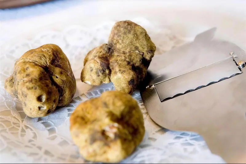 Weisse Trüffel mit dem Trüffelhobel